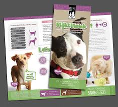 Pet owners will then need to take the pet home for 14 days to allow the vaccines time. 29 Trifold Animal Brochures Ideas Brochure Trifold Brochure Design