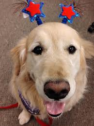 Volunteering at Northwestern Hospital Palos