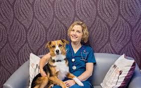We also offer holistic medicine like chiropractic, acupuncture, and young living essential oils. Carlisle Pa Veterinarian And Pet Resort Healing Paws Veterinary Care