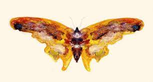 Savesave beautiful butterfly rhymes.docx for later. Pretty Liddle Butterfly African American Children S Songs Historical African American Mama Lisa S World Children S Songs And Rhymes From Around The World