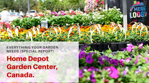 Viagrow horticultural perlite is commonly used alone for a completely inert hydroponic medium with good capillary and air retention properties, perlite can also be added to any medium to improve texture or combined with coir (coconut fiber) and bulk granular. Garden Soil Sale Home Depot 07 2021