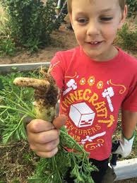 Grandview Elementary's garden club teaches kids through experience