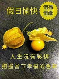 週末愉快英文週末英文– TRTV