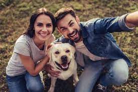 Cost Of Owning A Labrador Monthly Yearly Breakdown