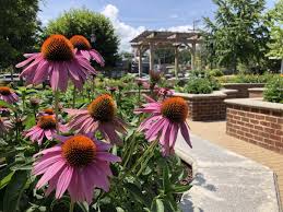 Maybe you would like to learn more about one of these? Liberty Park City Of Harrisonburg Va