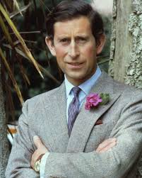 Sets Clearance King Single Bed For Sale Near Me At William Behm Blog King  Single Bedding King Single Bedding Clearance