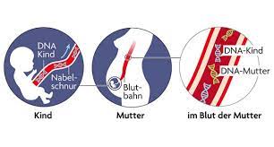 Schwangerschaft Bluttest Auf Trisomie 21 Baby Und Familie