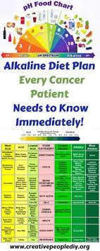 Alkaline Diet Plan That Every Cancer Patient Needs To Know