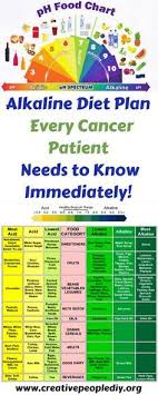 alkaline diet plan that every cancer patient needs to know