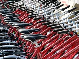 Hauschild Zweiradexperte Regionalpark Rosengarten