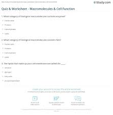 Column a column b a. Quiz Worksheet Macromolecules Cell Function Study Com