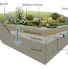 Trash accumulates, algae forms on the surface, and in some cases dead fish collect along the banks and mosquitoes swarm. 1