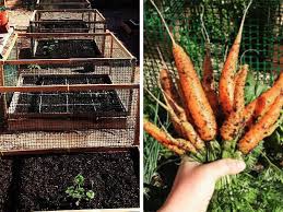 Maybe you would like to learn more about one of these? What Seeds You Should Plant In April Zones 3 10