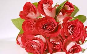 We did not find results for: Hd Absolute Beauty Wallpapers Peakpx