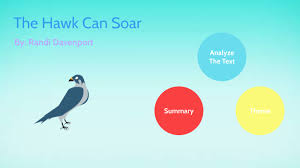 Commonlit the hawk answer key : The Hawk Can Soar By Joel Alvarado Veliz