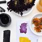 Make Art Materials from Plants - THAMES event image