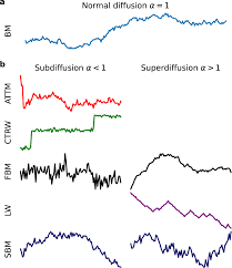 Bayesian deep learning for error estimation in the analysis of anomalous  diffusion | Nature Communications