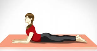 Hatha yoga refers to the practice of physical asanas or yoga postures… Die Yogaubung Der Sphinx Salamba Bhujangasana Die Kunst Des Lebens