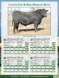 Teixeira Cattle Co. Salebook