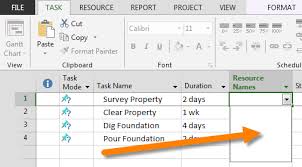 missing resources in microsoft project resource pools