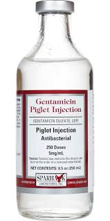 Image result for Gentamicin