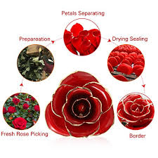 Nozze di perla 31° anniversario: Raccogli Le Rose Mature E Strutturate Rosa Eterna Placcata Con Oro 24k Fiore Reale Compleanno Festa Della Mamma Matrimonio Joyhoop Rosa Pro Anniversario Regali Per San Valentino Fiori Artificiali Casa E Cucina
