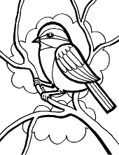 Birds coloring pages for kids. Bird Coloring Pages To Print Topcoloringpages Net