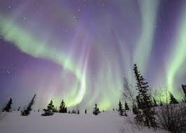 Snow Aurora Borealis Canada Free Travel Wallpapers Northern Lights Canada Northern Lights Photography Aurora Borealis Northern Lights