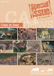 Ze jagen bij nacht en alleen. Pdf The Caracal In Iran Current State Of Knowledge And Priorities For Conservation