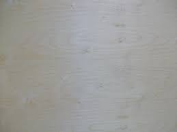 We did not find results for: 3 4 Baltic Birch Plywood 23 Round Buy Online In United Arab Emirates At Desertcart Ae Productid 16846155