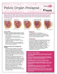 Augs Patient Fact Sheets Pelvic Organ Prolapse Fact Sheet Pelvic Floor
