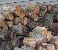 Mother nature took the initiative for us & she was so nice she didn't hit anything when the tree fell. Free Firewood Service Get Free Firewood