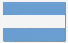Variedad en materiales y terminación. Banderas De Argentina Y De Todo El Mundo En El Bicentenario De La Independencia Argentina