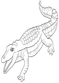 Dibujos Para Colorear De Animales Reales