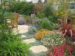 Luckily, there are dozens of ground covers, shrubs, and trees that thrive in the socal heat. Drought Tolerant Mediterranean Garden Yelp Mediterranean Landscaping Drought Tolerant Garden Drought Resistant Landscaping