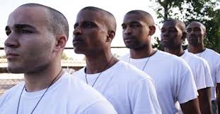 He Ain't Heavy: Pledging Underground streaming