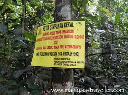 Hutan simpan ini baru diisytiharkan pada 3 ogos 2009. Hiking Ayer Hitam Forest Reserve Puchong Hill Selangor Malaysia
