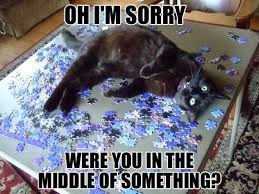The first crossword puzzle was created by a journalist arthur wynne from liverpool and is known as the creator of this game. Wednesday 29 01 2020 National Puzzle Day The Daily Kitten