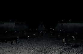 pochemu zhivotnye vidyat v temnote a my net i pochemu u koshki glaza goryat telekanal moya planeta