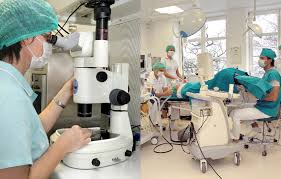 Maybe you would like to learn more about one of these? Fertilizarea In Vitro Cu Ovocite Donate