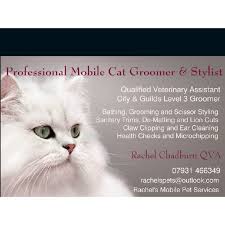 (3 days ago) pet groomers near me ; Professional Cat Groomer Leicester Woofing Purrfect Ibstock Dog Cat Grooming Yell