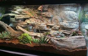 I stapled the screen around. 30 Diy Bearded Dragon Terrarium Ideas That Are Absolutely Stunning Exopetguides
