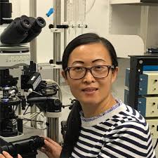 Mapping Neural Connections in Parkinson's Disease