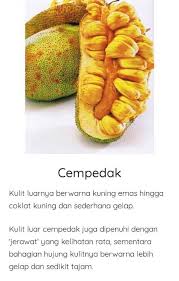 Buah yang biasanya digoreng memakai tepung cempedak: Edenfruits Co Beza Antara Nangka Dan Cempedak Buah Facebook