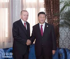 Recep tayyip erdoğan'ın kendi deyimiyle gürcü olduğunu, dedelerinin kırım yada kafkas bölgesinden geldiğini, 1920'li yıllardan sonra dedesinin rize'ye kadar göç ettiği ve orada yerleştiğini kendi. Xi Jinping Meets With President Recep Tayyip Erdogan Of Turkey