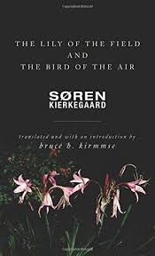 Birds Of The Air And Lilies Of The Field The Best Books On Soren Kierkegaard The Lily Of The Field And The Bird Of The Air Soren Kierkegaard Trans By Bruce H Lilies Of The Field Good Books Ebooks