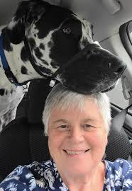 I may be bias, but Great Dane profiles are the best. Let's see ALL the  doggie profiles.