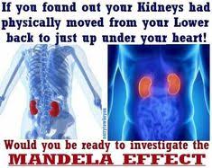 So sicher, wie du den vornamen. Die 12 Besten Ideen Zu Mandela Effekt Mandela Effekt Verschworungstheorie Verschworung