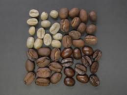 spectrophotometric color evaluation of green coffee beans