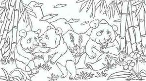 Baby Panda In The Bamboo Forest Coloring Page Panda Coloring Pages Forest Coloring Pages Coloring Pages